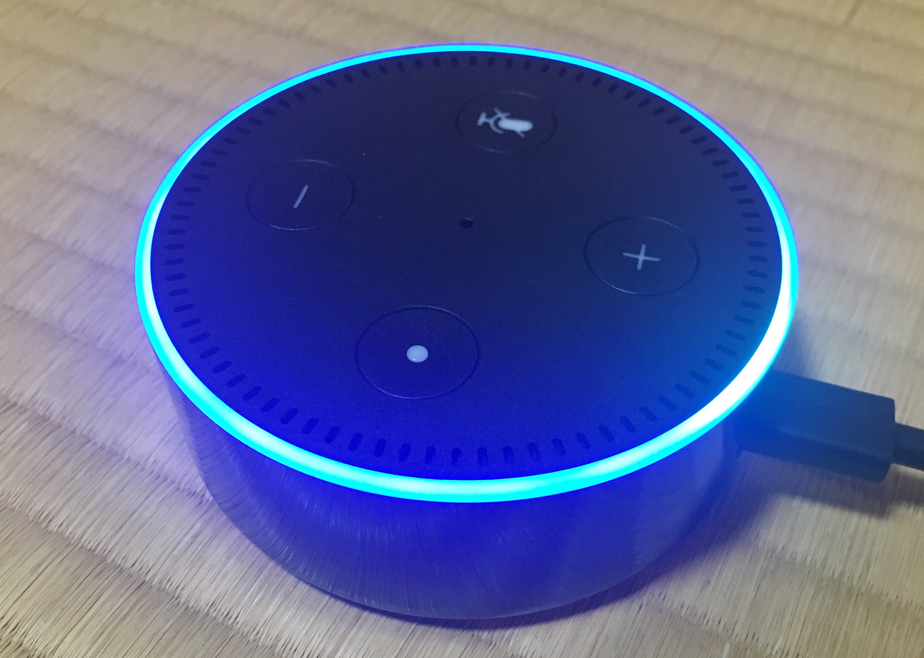 ライトリングがブルーに光るアレクサの写真